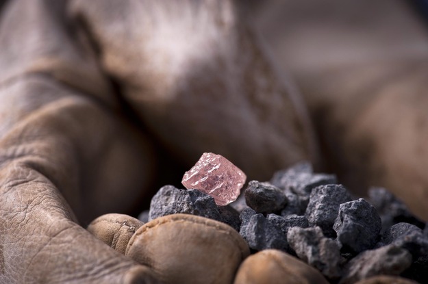 Surowe purpurowe i różowe diamenty z kopalni Argyle