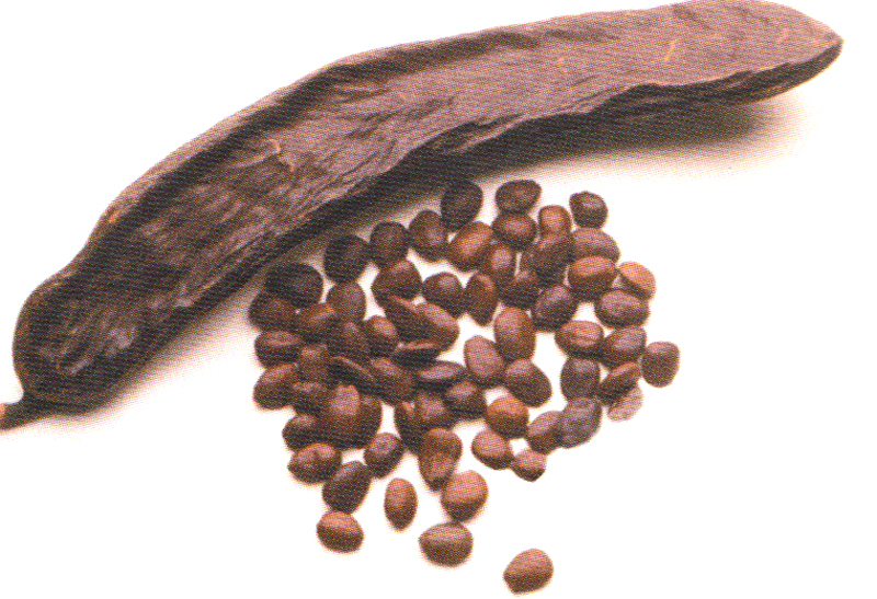 carob seed
